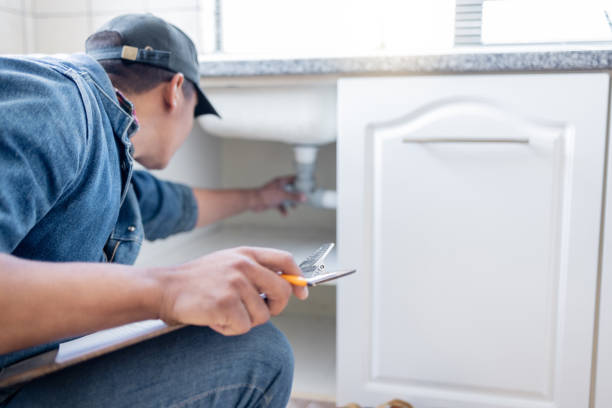 Best Local Plumber Services  in Serenada, TX